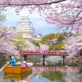 Running Podcast #337 – Sakura Japan 2019